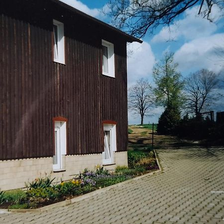 Falkenstein Reinhardtsdorf-Schona Buitenkant foto