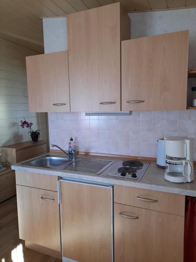 Falkenstein Reinhardtsdorf-Schona Buitenkant foto