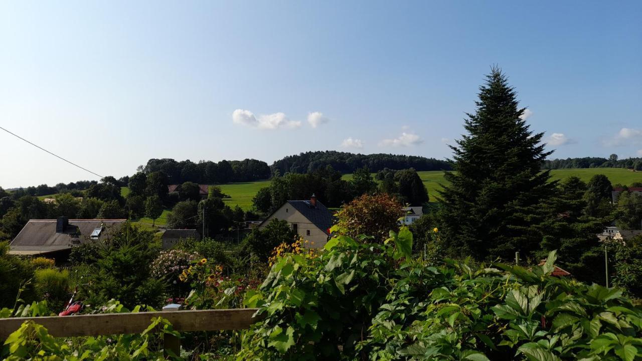 Falkenstein Reinhardtsdorf-Schona Buitenkant foto